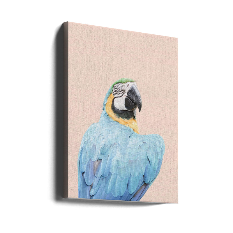 Blue Macaw - Stretched Canvas, Poster or Fine Art Print I Heart Wall Art