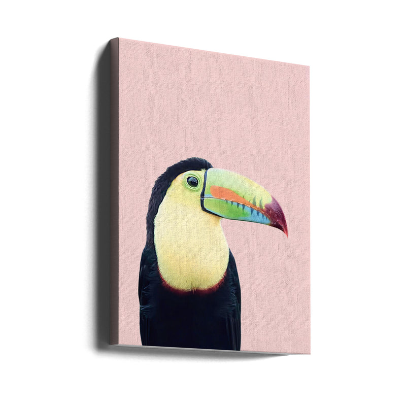 Toucan on Pink - Stretched Canvas, Poster or Fine Art Print I Heart Wall Art