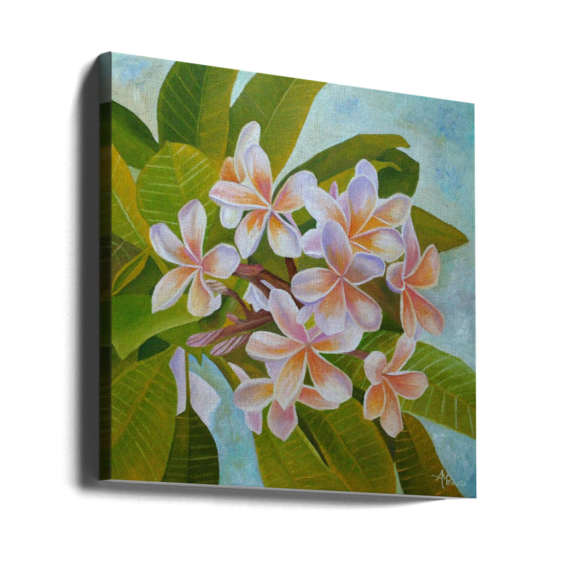 Plumeria - Square Stretched Canvas, Poster or Fine Art Print I Heart Wall Art