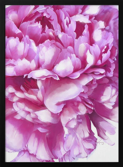 Pink Peony - Stretched Canvas, Poster or Fine Art Print I Heart Wall Art