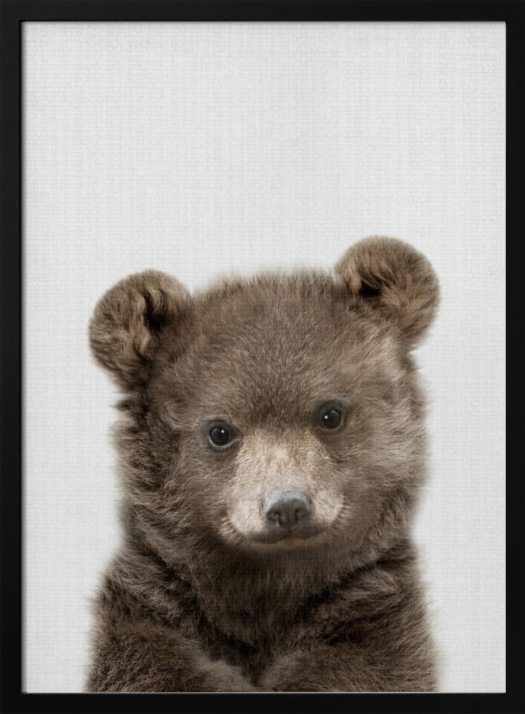 Peekaboo Baby Bear - Stretched Canvas, Poster or Fine Art Print I Heart Wall Art