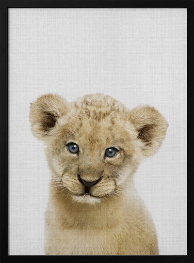 Peekaboo Baby Lion - Stretched Canvas, Poster or Fine Art Print I Heart Wall Art