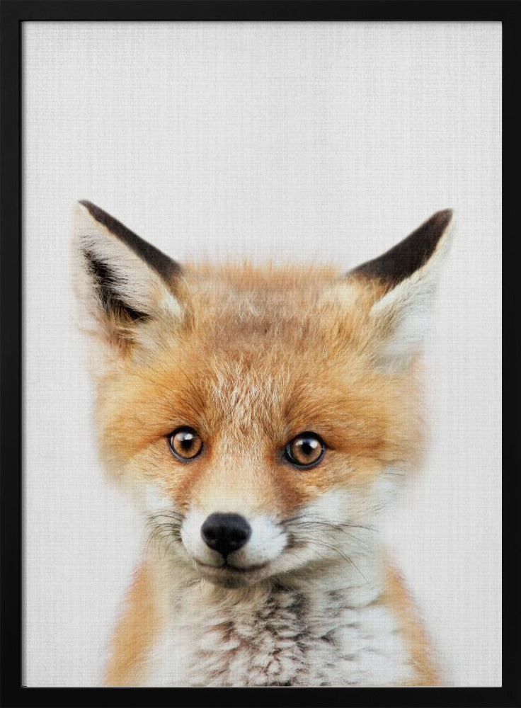 Peekaboo Baby Fox - Stretched Canvas, Poster or Fine Art Print I Heart Wall Art