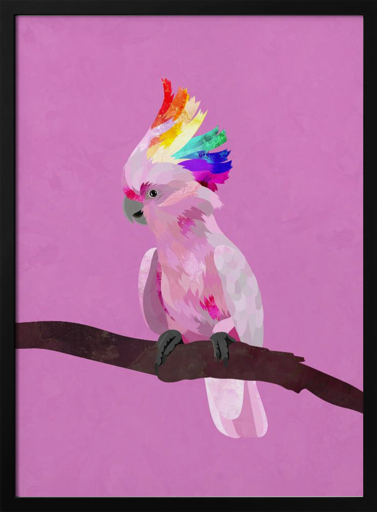 Pride Galah - Stretched Canvas, Poster or Fine Art Print I Heart Wall Art