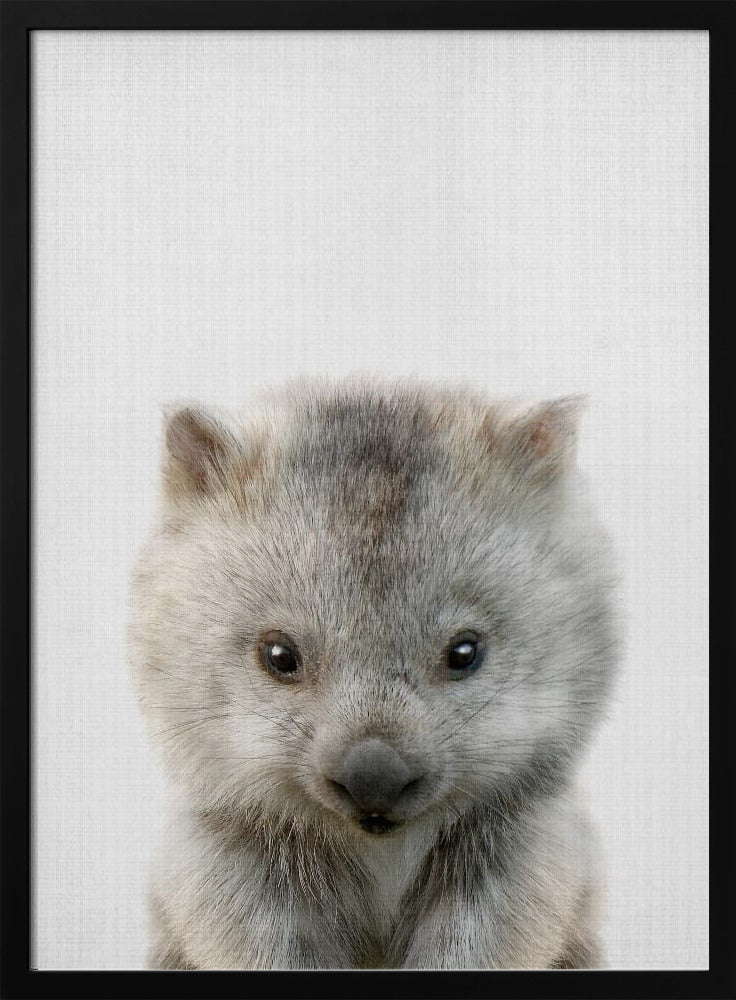 Peekaboo Baby Wombat - Stretched Canvas, Poster or Fine Art Print I Heart Wall Art