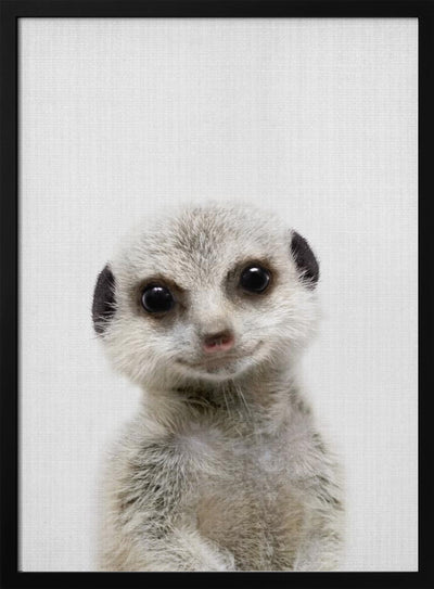 Peekaboo Baby Meerkat - Stretched Canvas, Poster or Fine Art Print I Heart Wall Art