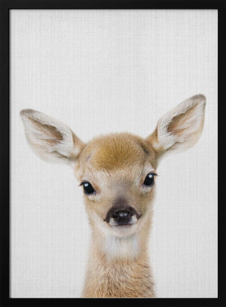 Peekaboo Baby Deer - Stretched Canvas, Poster or Fine Art Print I Heart Wall Art