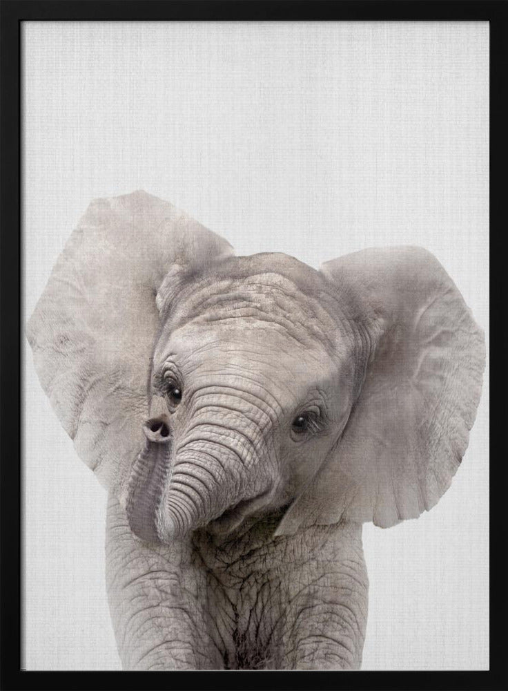 Peekaboo Baby Elephant - Stretched Canvas, Poster or Fine Art Print I Heart Wall Art