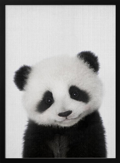 Peekaboo Baby Panda - Stretched Canvas, Poster or Fine Art Print I Heart Wall Art