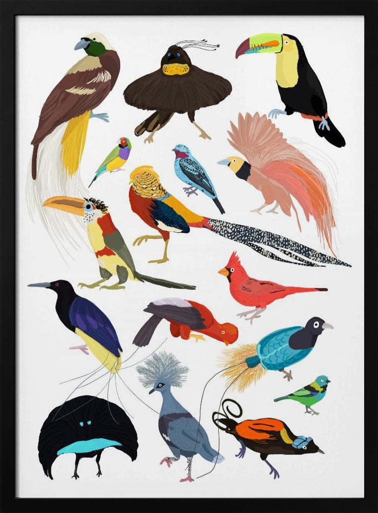 Birds of Paradise - Stretched Canvas, Poster or Fine Art Print I Heart Wall Art