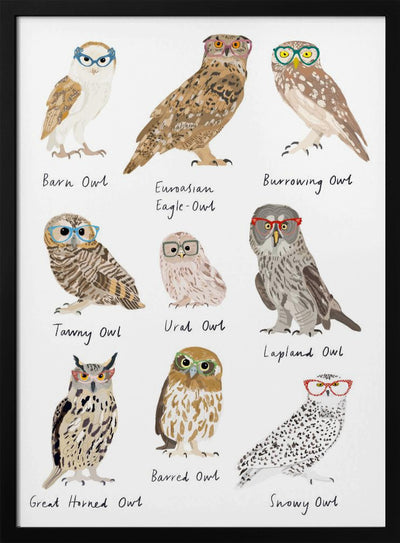 Owls In Glasses Print - Stretched Canvas, Poster or Fine Art Print I Heart Wall Art