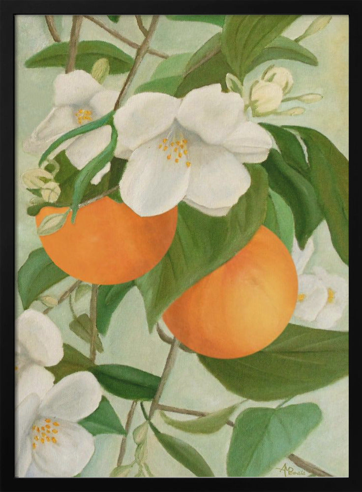 Branch of Orange Tree In Bloom - Stretched Canvas, Poster or Fine Art Print I Heart Wall Art