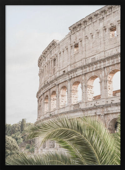 Colosseum - Stretched Canvas, Poster or Fine Art Print I Heart Wall Art