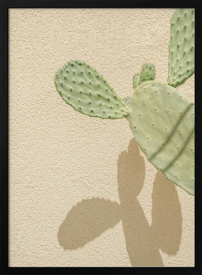 Cacti Shadowplay - Stretched Canvas, Poster or Fine Art Print I Heart Wall Art