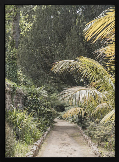 Tropical Walk - Stretched Canvas, Poster or Fine Art Print I Heart Wall Art