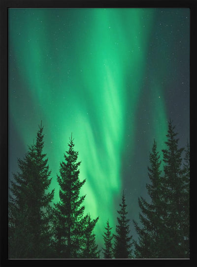 Northern Lights in the Woods - Stretched Canvas, Poster or Fine Art Print I Heart Wall Art