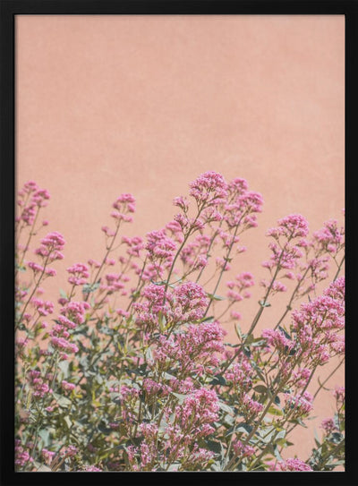 Summer Flowers - Stretched Canvas, Poster or Fine Art Print I Heart Wall Art