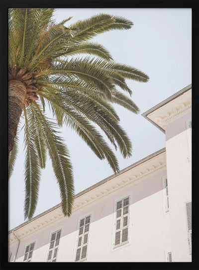 Tropical Menton - Stretched Canvas, Poster or Fine Art Print I Heart Wall Art