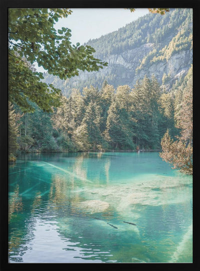 Blausee - Stretched Canvas, Poster or Fine Art Print I Heart Wall Art