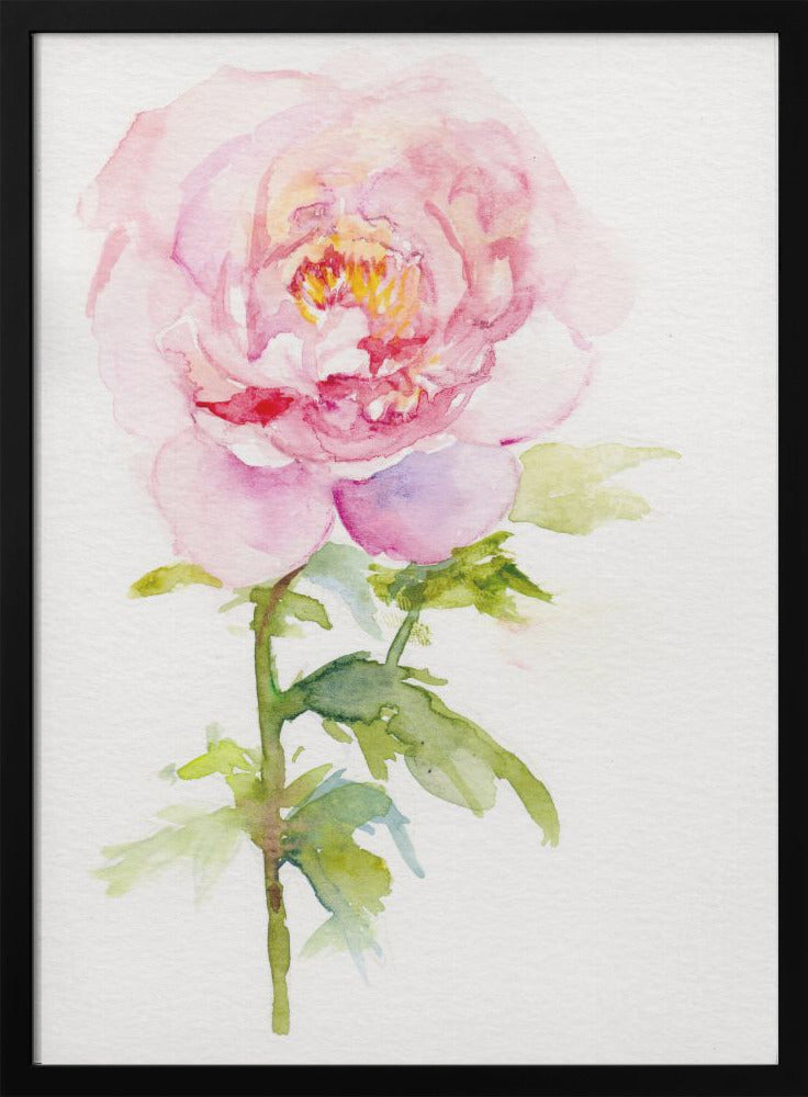Peony November - Stretched Canvas, Poster or Fine Art Print I Heart Wall Art