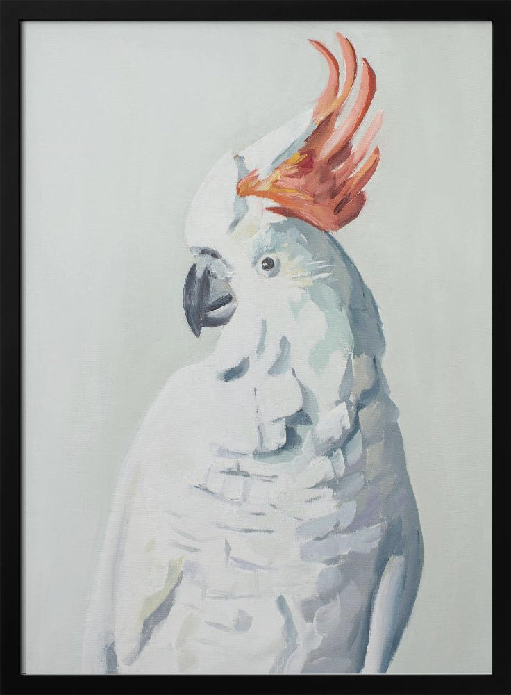 White Cockadoo - Stretched Canvas, Poster or Fine Art Print I Heart Wall Art