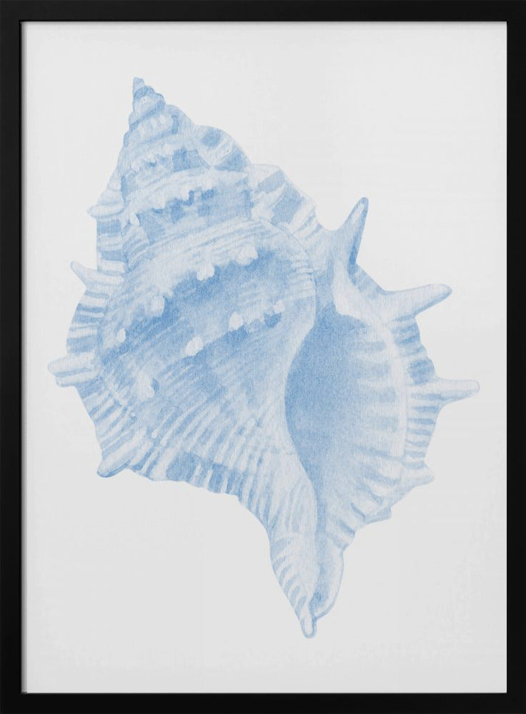 One Blue Conch - Stretched Canvas, Poster or Fine Art Print I Heart Wall Art