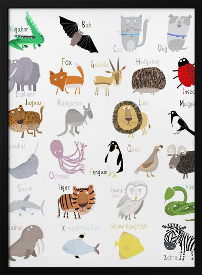 Illustrated Alphabet Animal Letters on White Background by Carla Daly - Stretched Canvas, Poster or Fine Art Print I Heart Wall Art