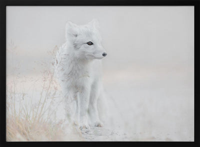 Looking around - Stretched Canvas, Poster or Fine Art Print I Heart Wall Art