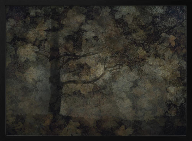 Dark forest - Stretched Canvas, Poster or Fine Art Print I Heart Wall Art