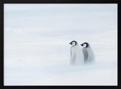 SISTER BOND UNDER THE WORST WEATHER II - Stretched Canvas, Poster or Fine Art Print I Heart Wall Art