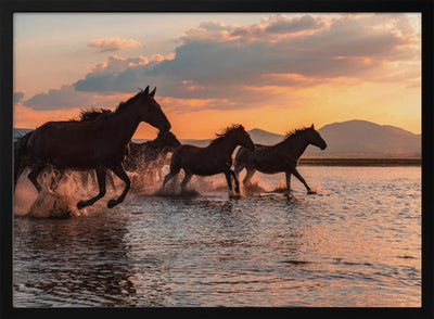 WATER HORSES - Stretched Canvas, Poster or Fine Art Print I Heart Wall Art