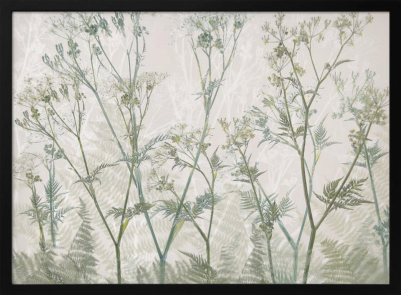 Cow parsley - Stretched Canvas, Poster or Fine Art Print I Heart Wall Art