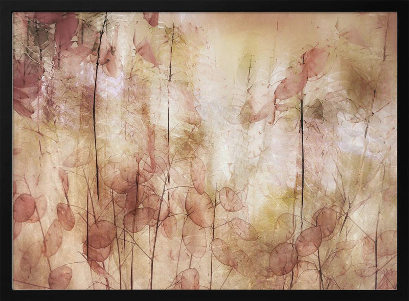 Seed pods - Stretched Canvas, Poster or Fine Art Print I Heart Wall Art