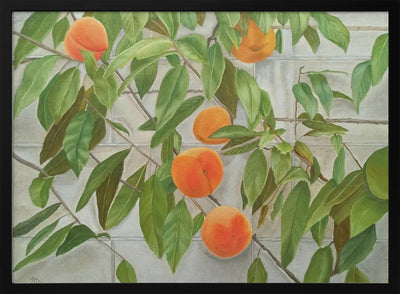 Peaches - Stretched Canvas, Poster or Fine Art Print I Heart Wall Art