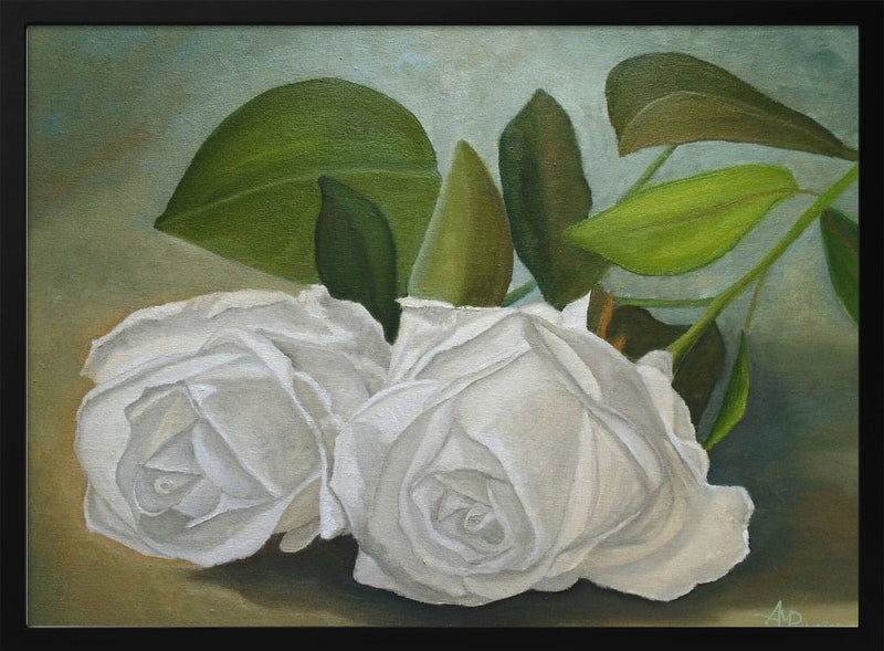 White Roses - Stretched Canvas, Poster or Fine Art Print I Heart Wall Art