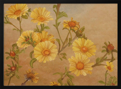 Yellow Daisies - Stretched Canvas, Poster or Fine Art Print I Heart Wall Art