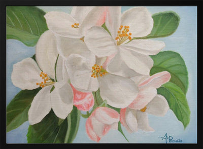 Apple Blossom - Stretched Canvas, Poster or Fine Art Print I Heart Wall Art