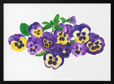 Pansies - Stretched Canvas, Poster or Fine Art Print I Heart Wall Art