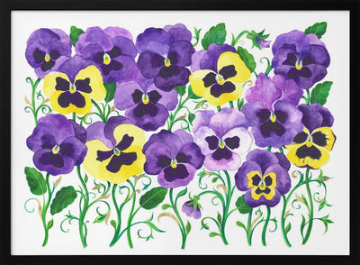 Pansy Field - Stretched Canvas, Poster or Fine Art Print I Heart Wall Art