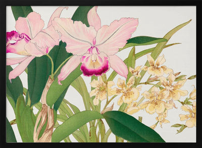 Oncidium Woodblock Painting No.2 - Stretched Canvas, Poster or Fine Art Print I Heart Wall Art