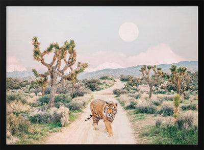 Wandering Tiger - Stretched Canvas, Poster or Fine Art Print I Heart Wall Art