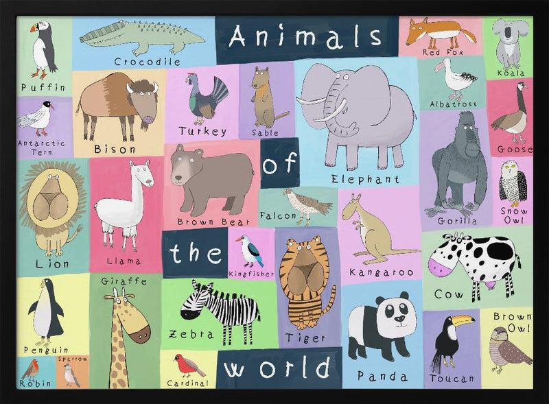 Animals of the World Illustration by Artist Carla Daly - Stretched Canvas, Poster or Fine Art Print I Heart Wall Art