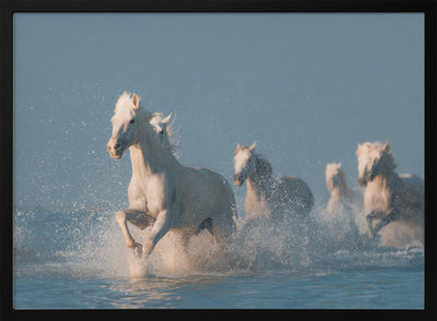 Angels of Camargue - Stretched Canvas, Poster or Fine Art Print I Heart Wall Art