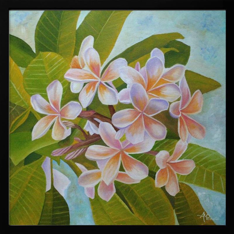 Plumeria - Square Stretched Canvas, Poster or Fine Art Print I Heart Wall Art