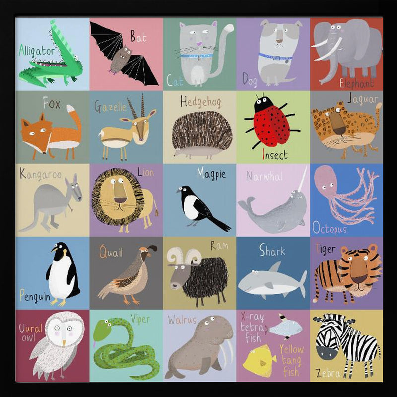 Colorful Chequered Animal Alphabet by Artist Carla Daly - Square Stretched Canvas, Poster or Fine Art Print I Heart Wall Art