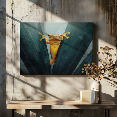 Gold Frog - Stretched Canvas, Poster or Fine Art Print I Heart Wall Art