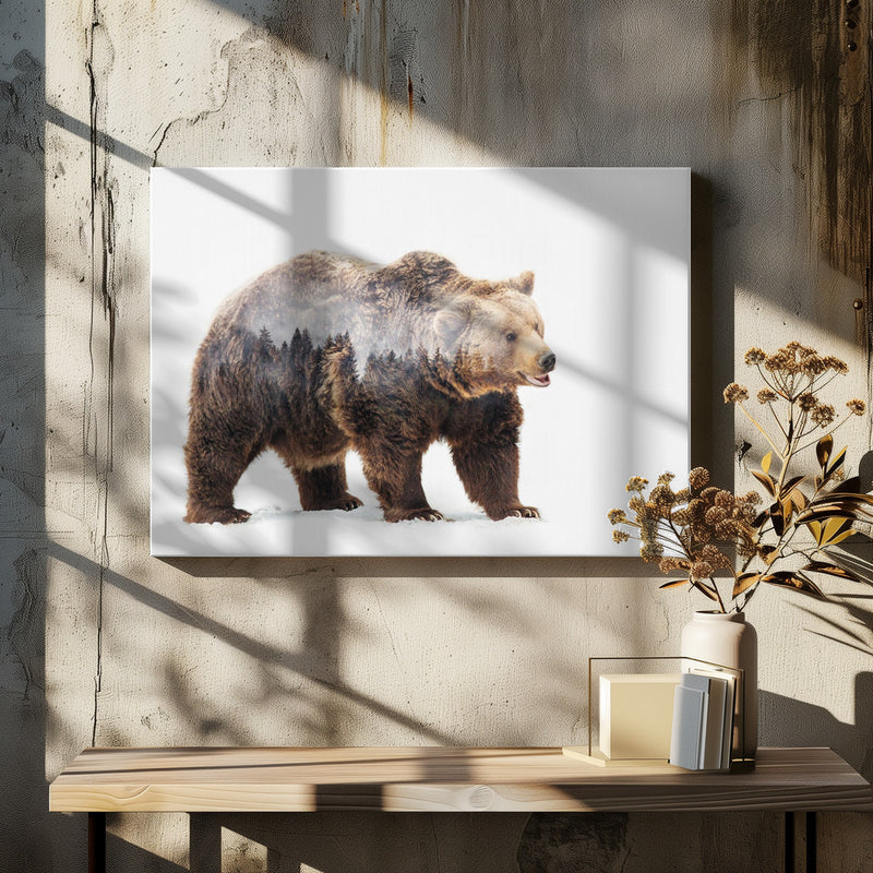 Bear - Stretched Canvas, Poster or Fine Art Print I Heart Wall Art