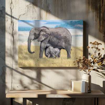 A wee one. - Stretched Canvas, Poster or Fine Art Print I Heart Wall Art