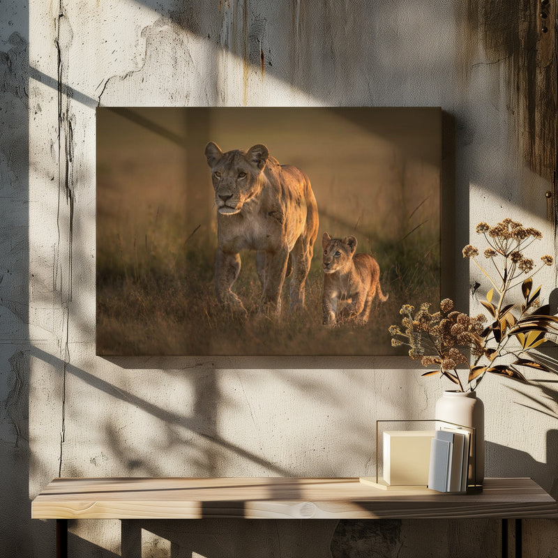 Mom lioness with cub - Stretched Canvas, Poster or Fine Art Print I Heart Wall Art