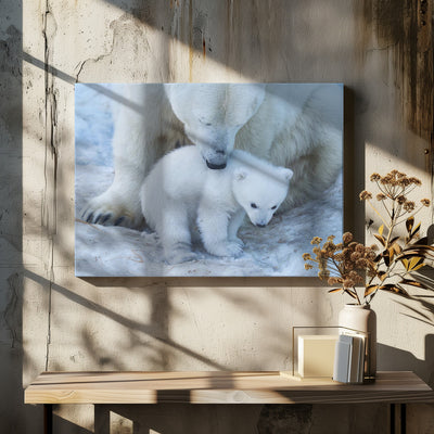 Polar bear portrait - Stretched Canvas, Poster or Fine Art Print I Heart Wall Art